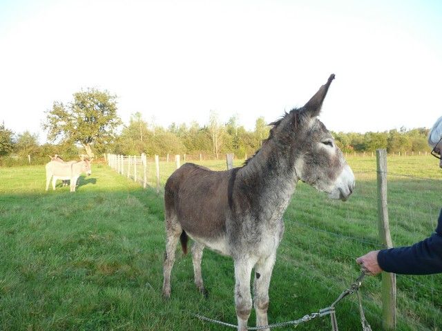 Balthazar et leonard Arrivee (22).jpg